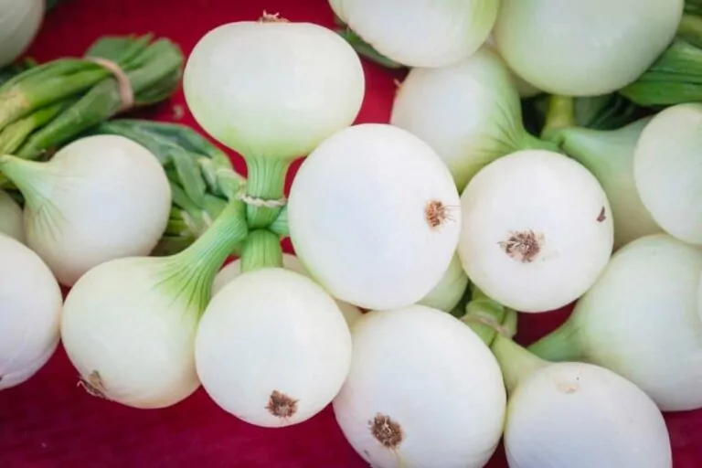 Planting Walla Walla Onions: Things You Need to Know