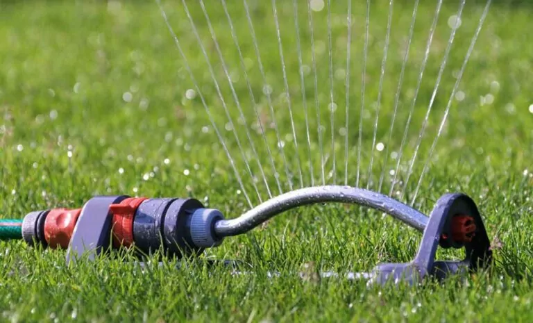 When to Start Watering Your Lawn [Complete Guide]