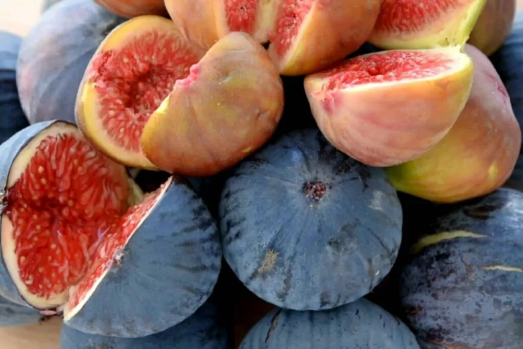 Image of ripe figs.